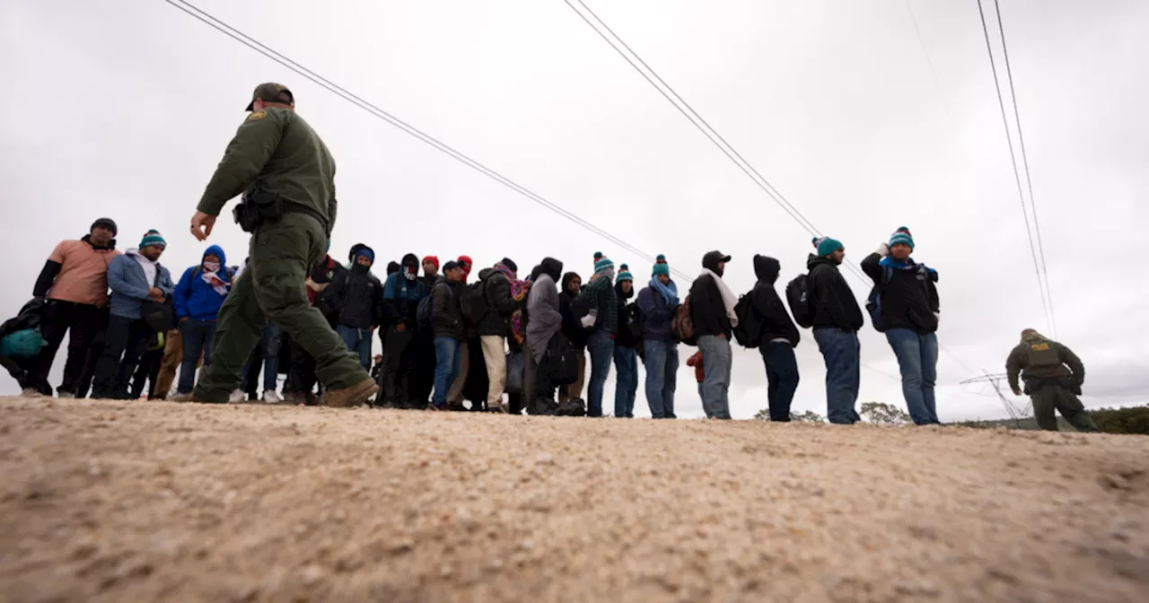 How will Biden's executive action affect migrant crossings?