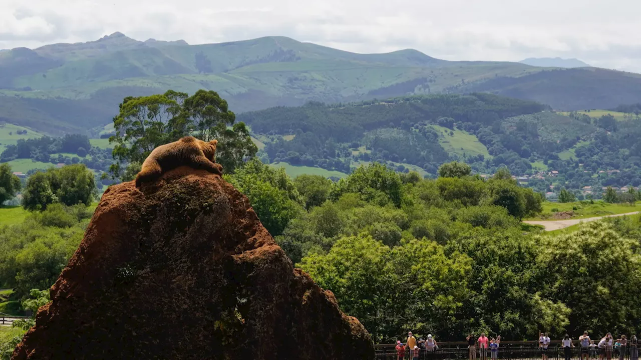 Cinco cosas que debes tener en cuenta antes de visitar Cabárceno en Cantabria