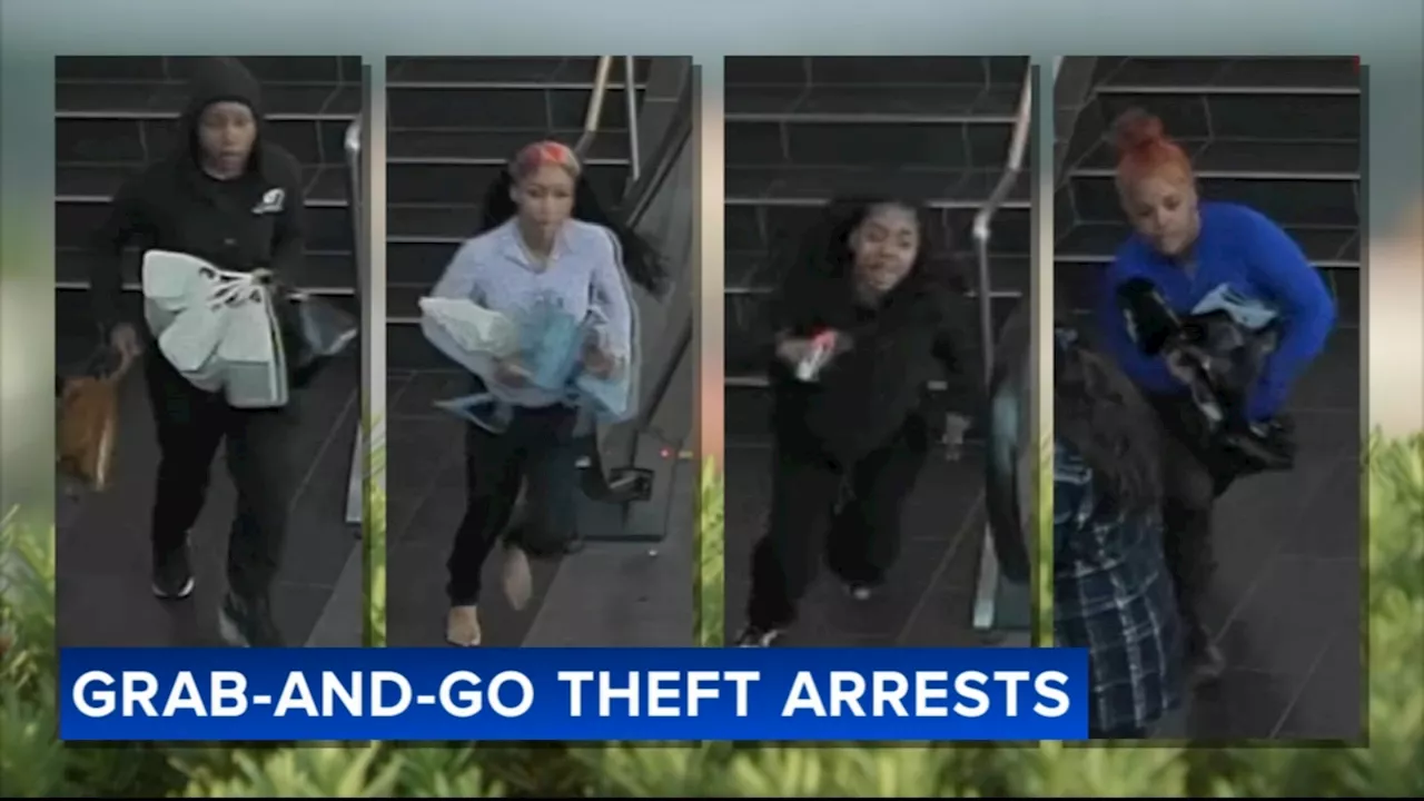 Alleged ring leader in string of Center City and Montgomery County grab-and-go thefts arrested