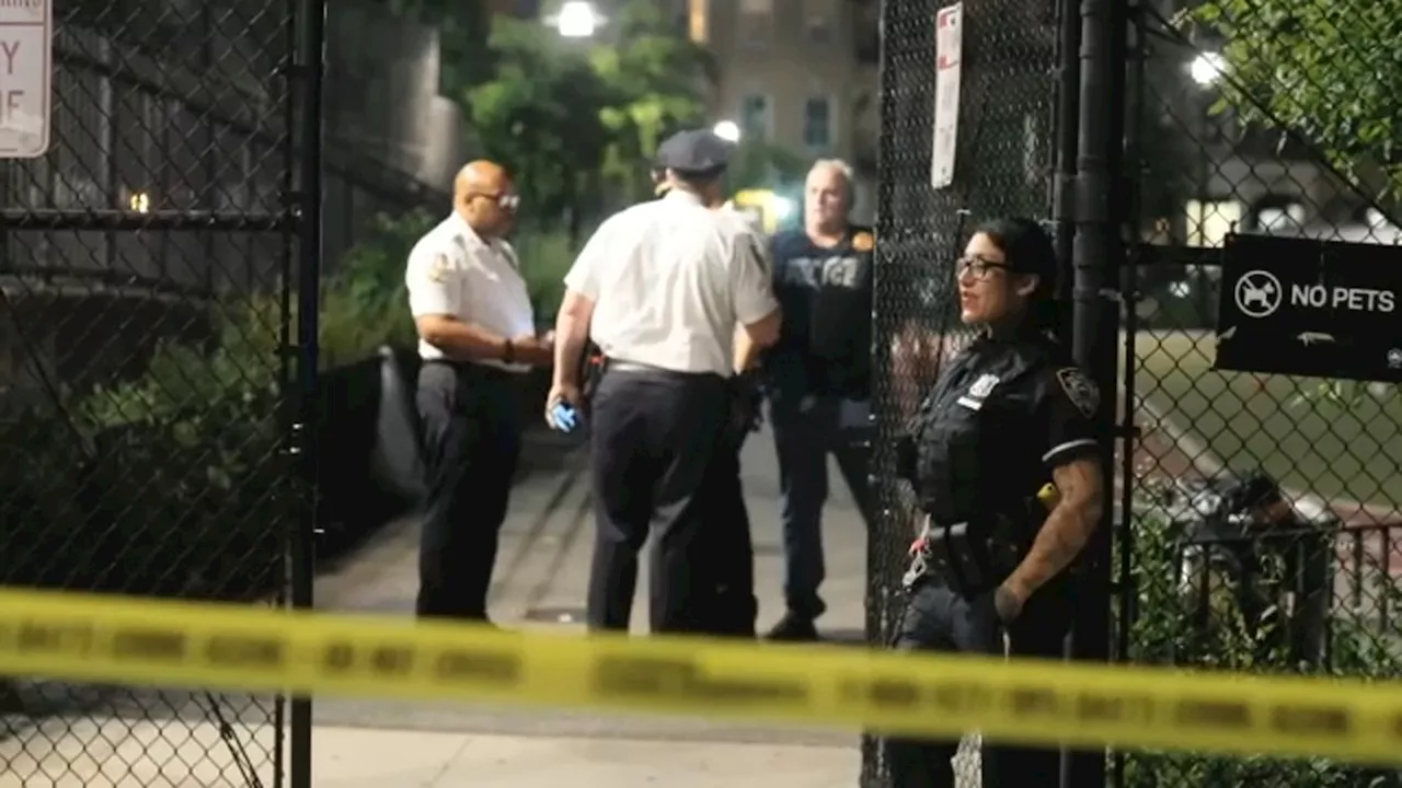 2 young girls caught in crossfire, injured in Brooklyn playground shooting