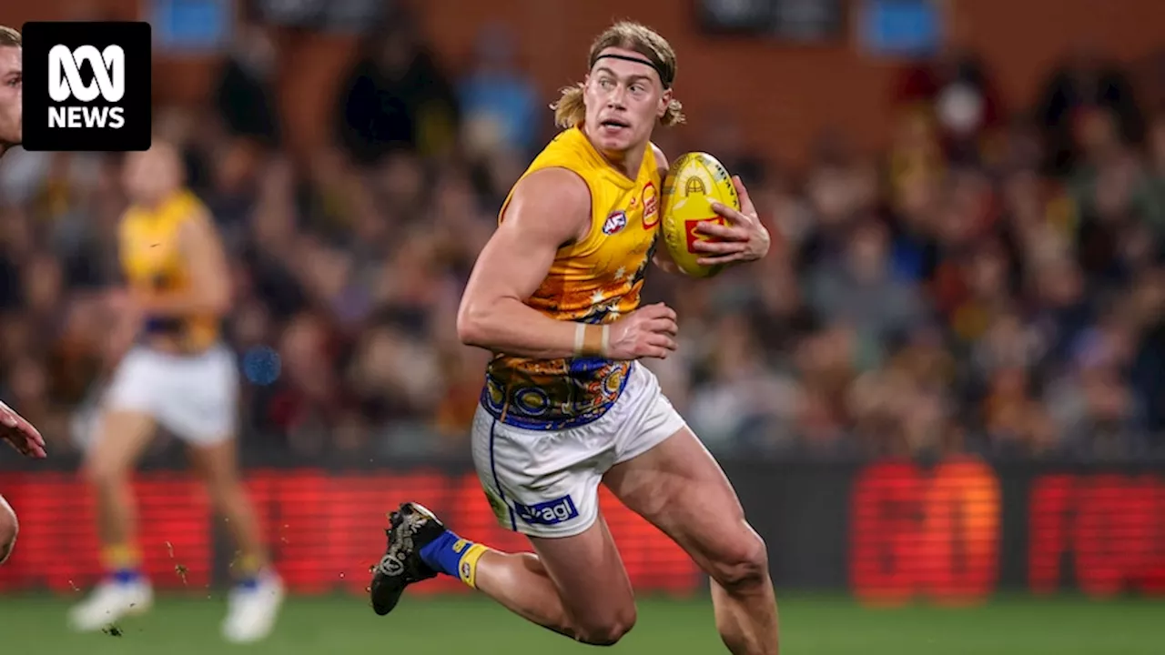 West Coast Harley Reid's two-game suspension upheld at AFL tribunal