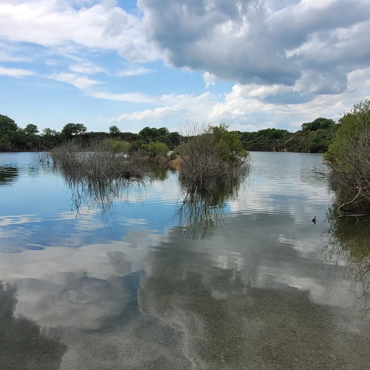 Loire-Atlantique : Charier abandonne son projet d'exploiter la carrière située dans une zone Natura 2000