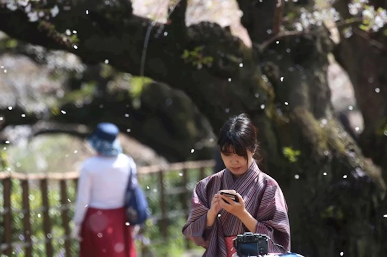 Fler barn önskas: Tokyo lanserar dejtingapp