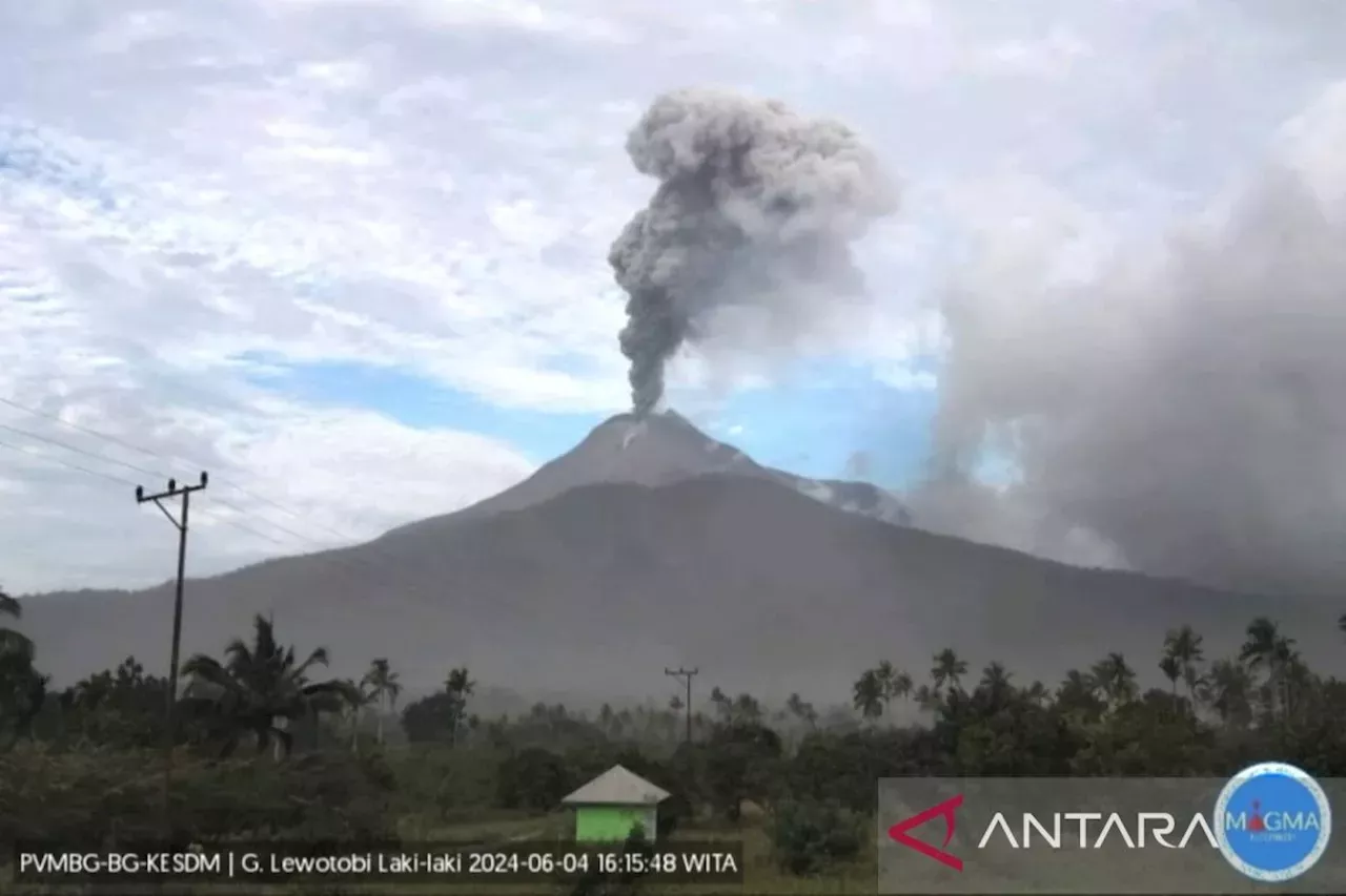 BNPB: Zona Bahaya Erupsi Gunung Lewotobi Laki-laki Radius 2 Kilometer ...