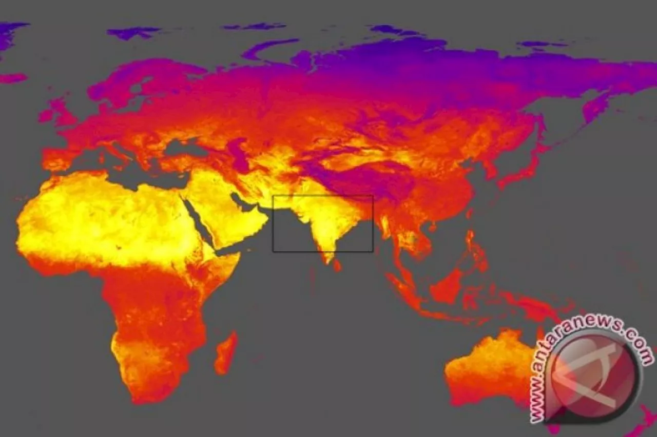 Puluhan orang di India meninggal dunia akibat gelombang panas panjang