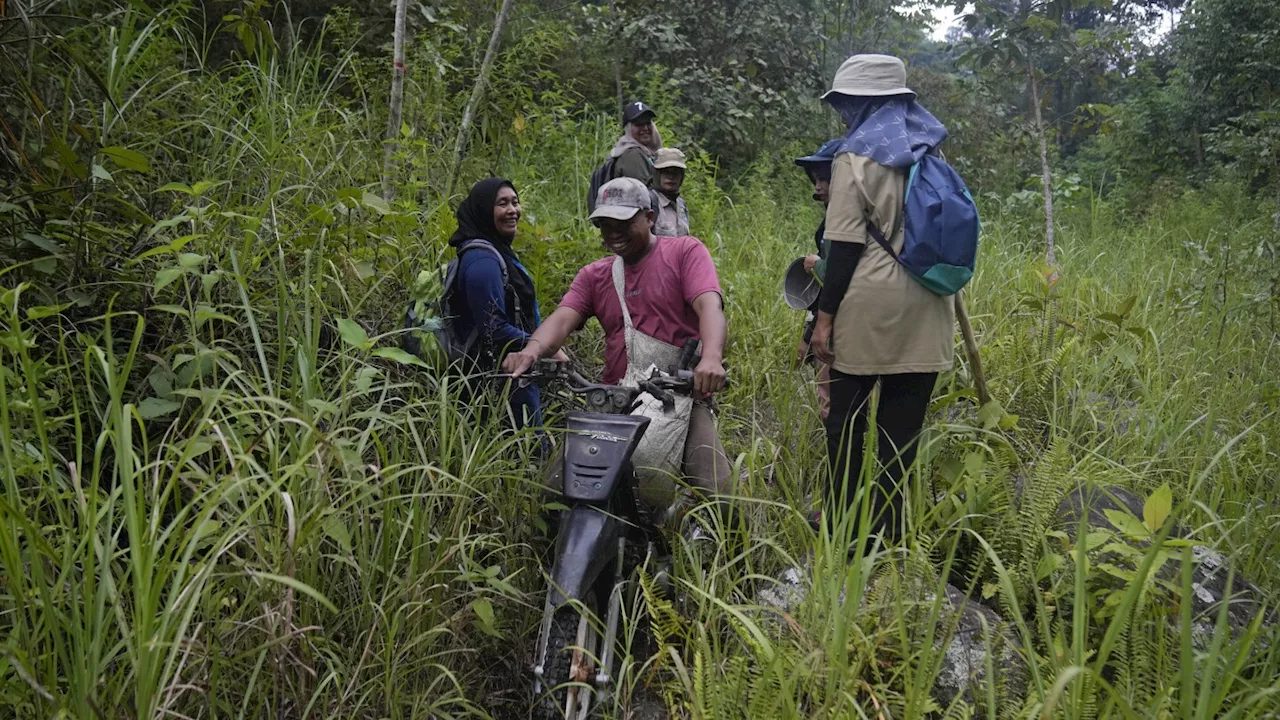 In Indonesia, women ranger teams go on patrol to slow deforestation