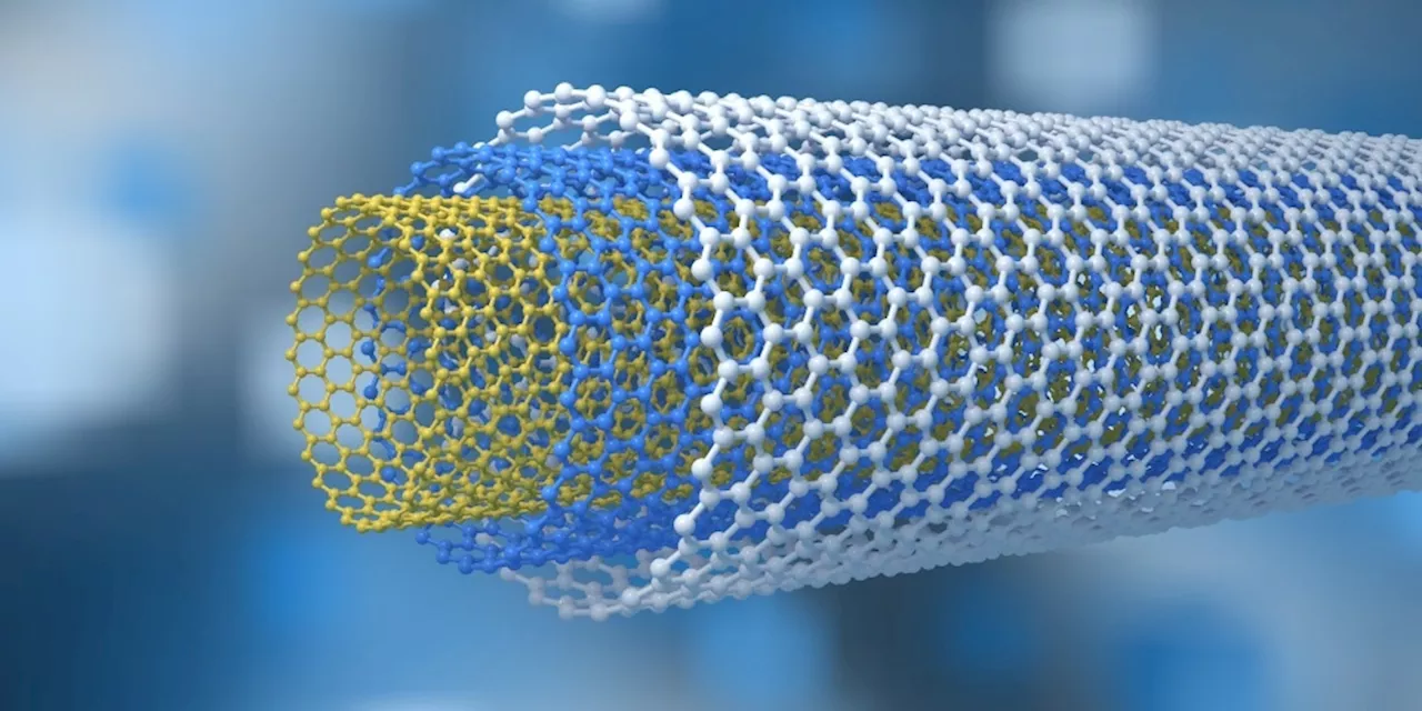 Are Carbon Nanotubes Magnetic?