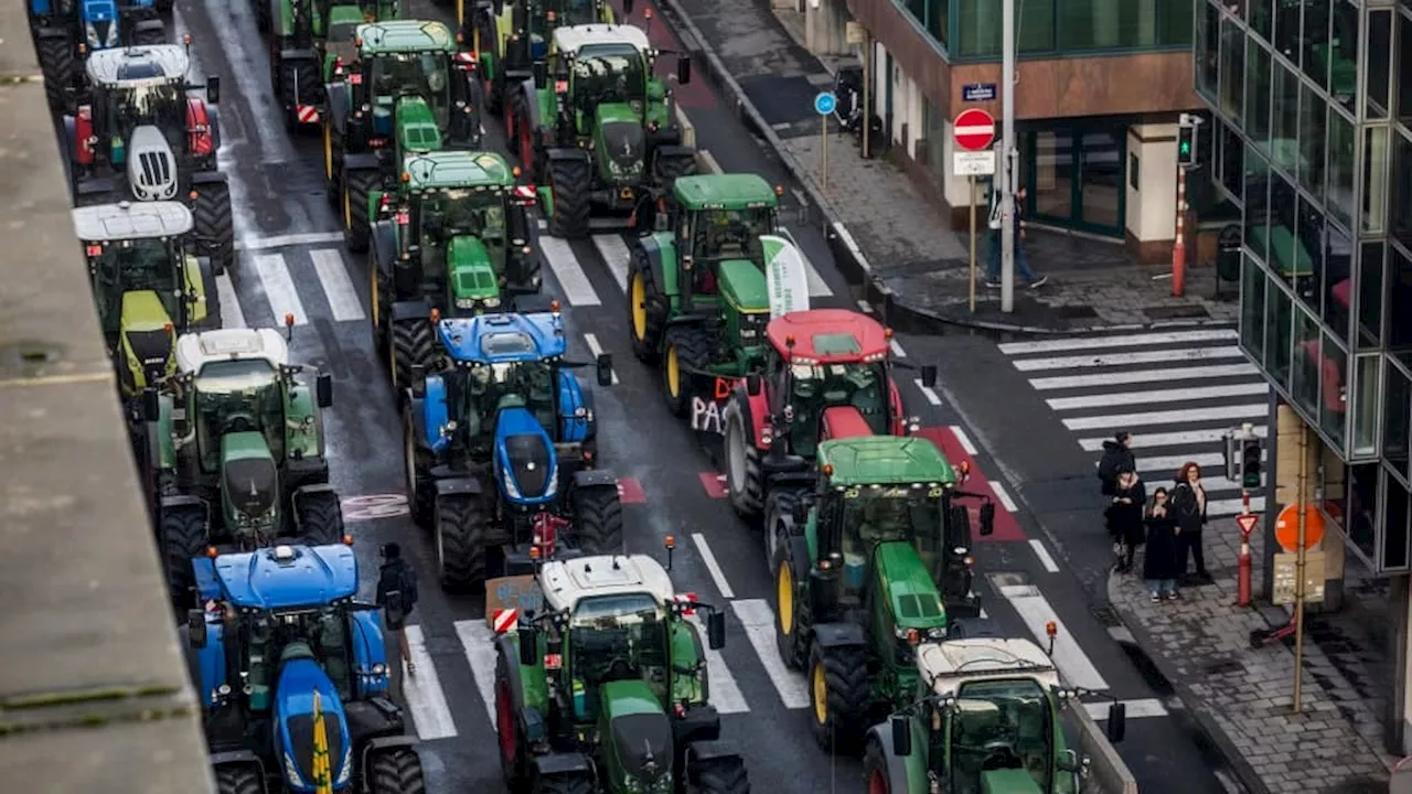 Du Gers à Bruxelles, les manifestations des agriculteurs en colère se poursuivent en Europe