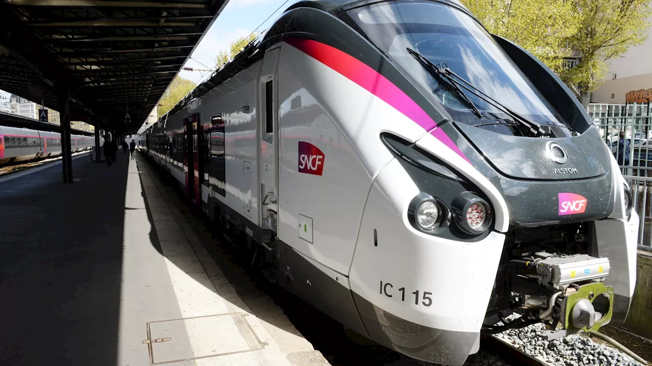 Prix, destinations, fonctionnement: tout savoir sur le Pass Rail dont la vente ouvre le 5 juin