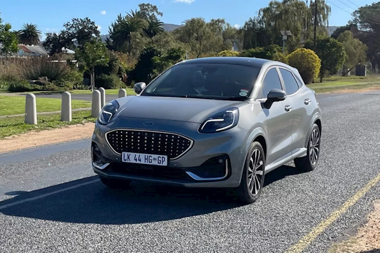 Chasing big cats in Ford’s Puma ST-Line