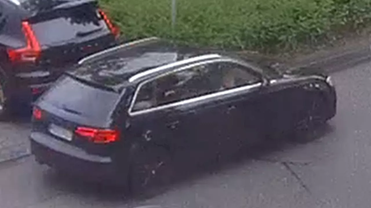 Tötungsdelikt in München Milbertshofen: Täter flüchtete in Audi A3 - Polizei sucht weitere Zeugen