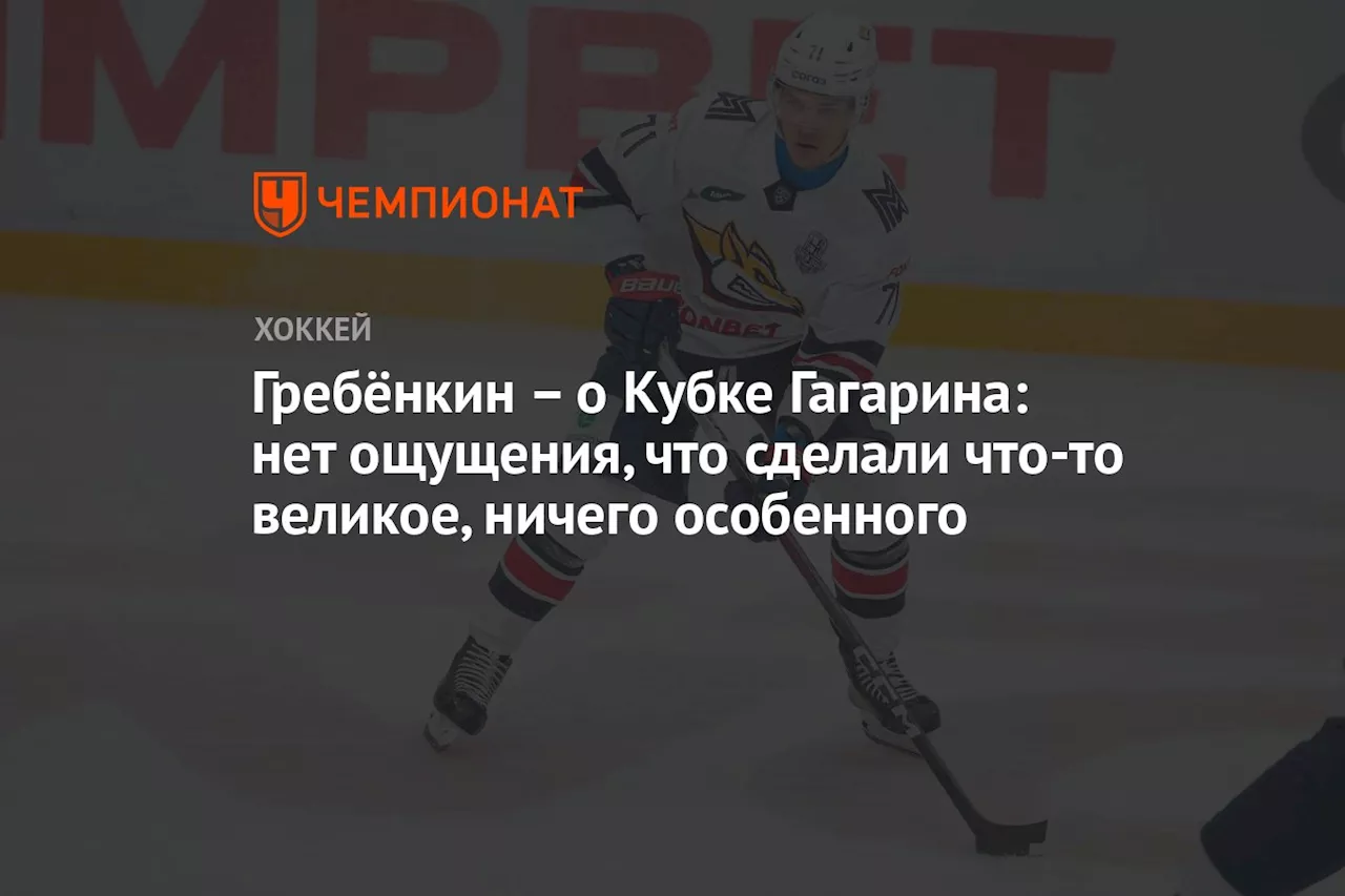 Гребёнкин — о Кубке Гагарина: нет ощущения, что сделали что-то великое, ничего особенного