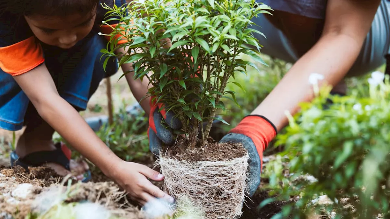 Commentary: Teaching children to care about the environment starts at home