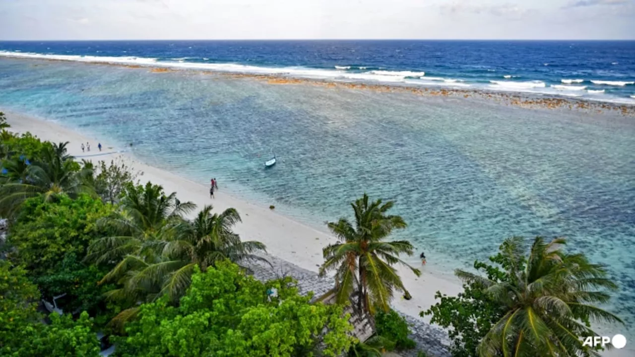 Smaller fish, bleached corals: Maldives hit by several threats from climate change