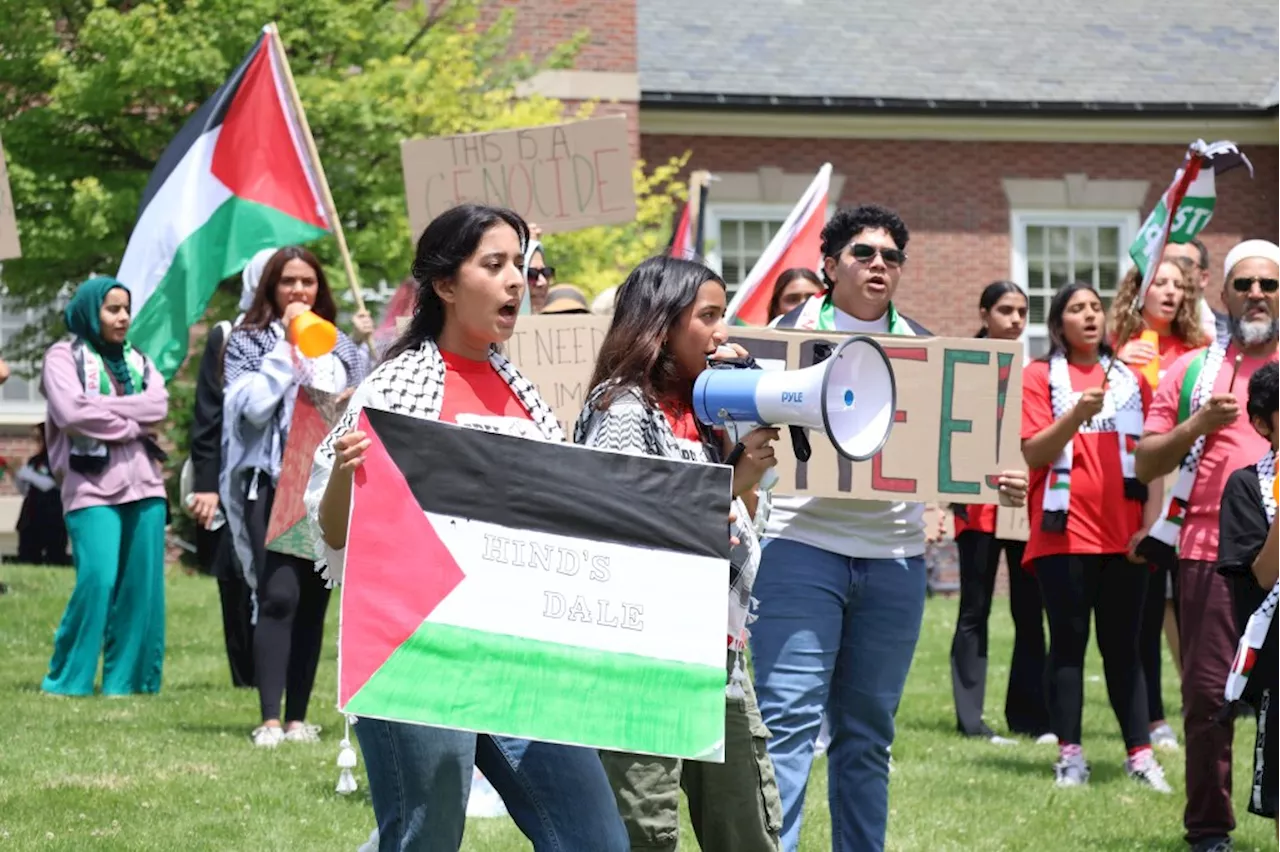 Two Hinsdale Central students organize pro-Palestine rally outside village hall