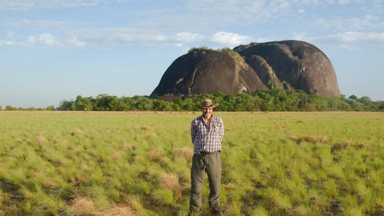 Colossal rock engravings may be ancient borders, study suggests