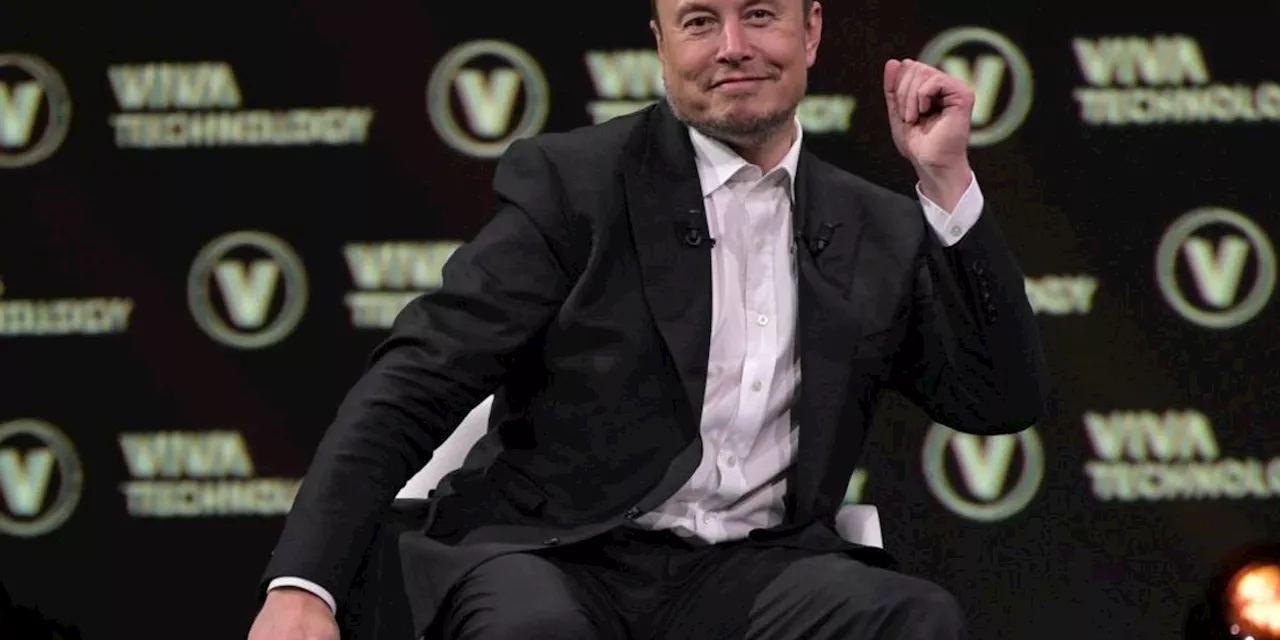 Elon Musk Shows Us Why Individuals Can't Save World