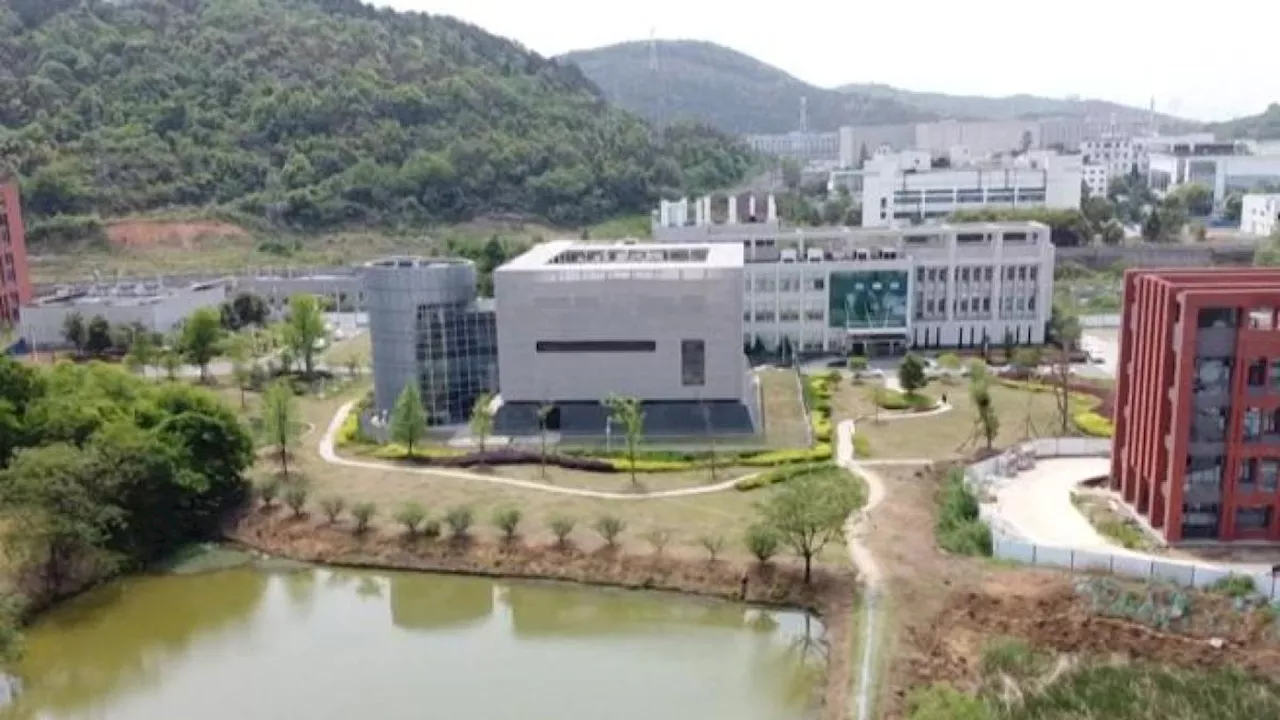 Il Covid, il laboratorio di Wuhan e le accuse del New York Times sulle responsabilità americane