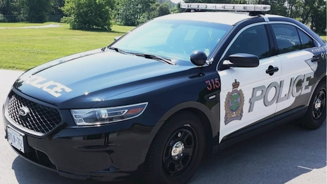 Man arrested following alleged purse robbery attempt in St. Catherines