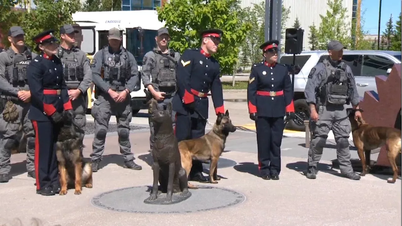 Bronco, Checco, Gaiter and Rick: 4 dogs join Calgary Police Service