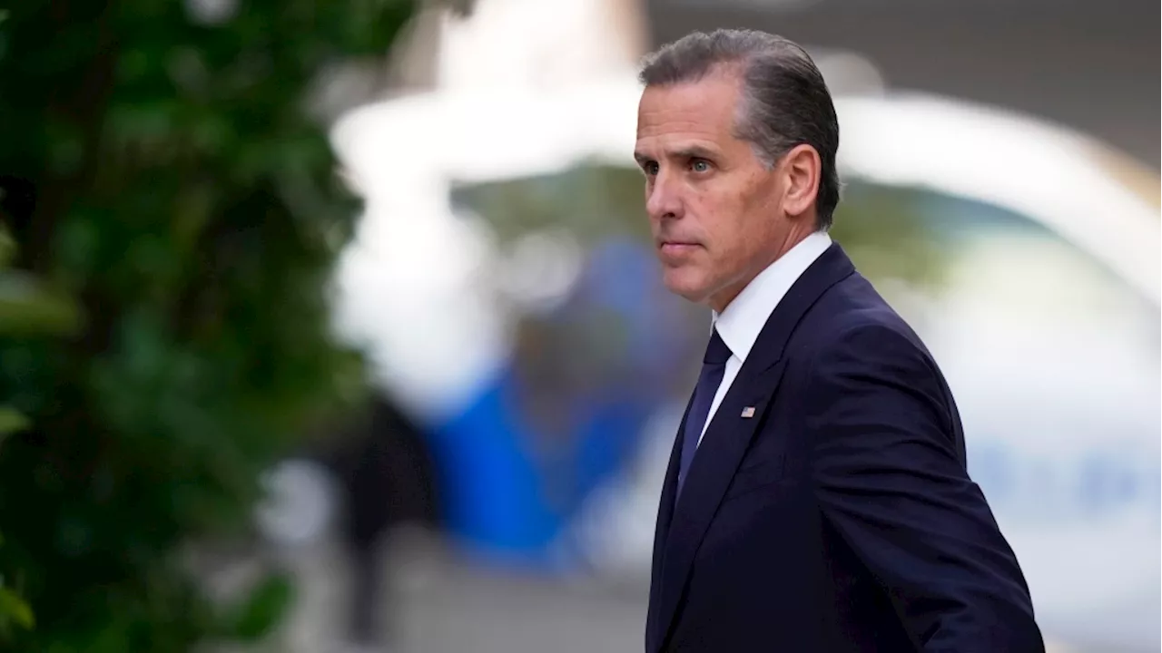 Biden's brother, son's widow among witnesses expected at Hunter Biden's federal gun trial