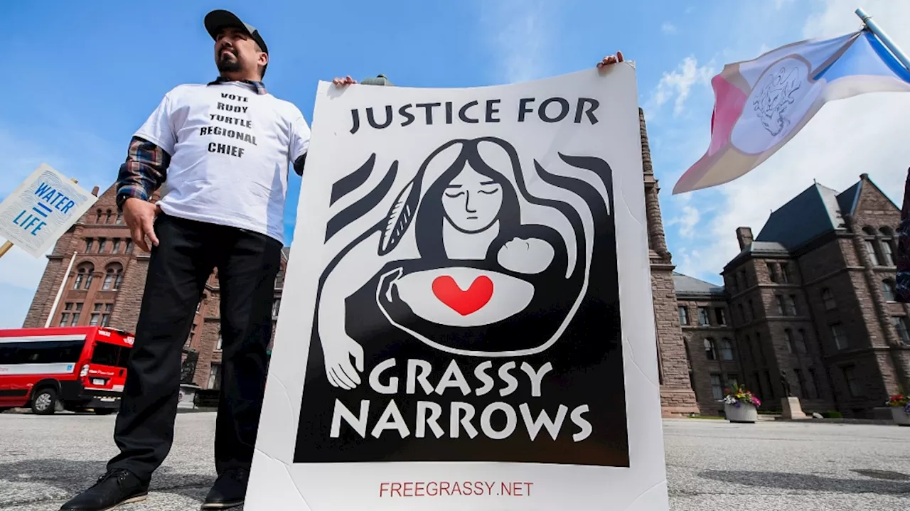 Grassy Narrows First Nation sues Ontario, Canada over mercury contamination