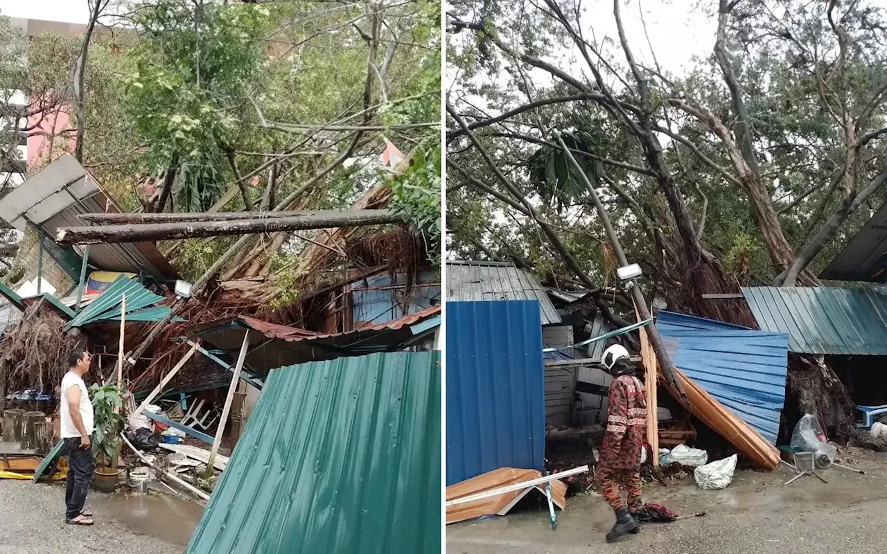 More trees fall in Klang Valley too, but no one harmed