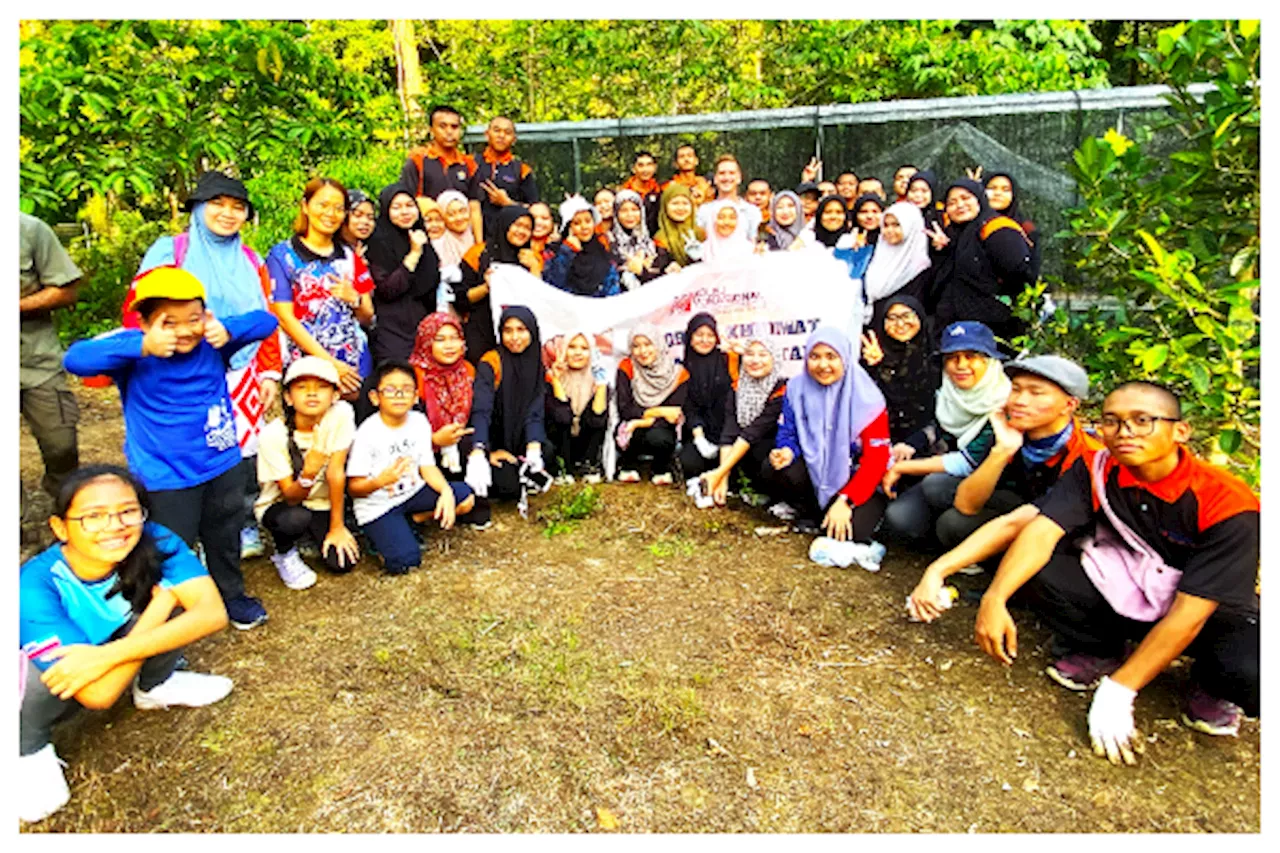 Tawau fig trees planting drive provides wildlife food