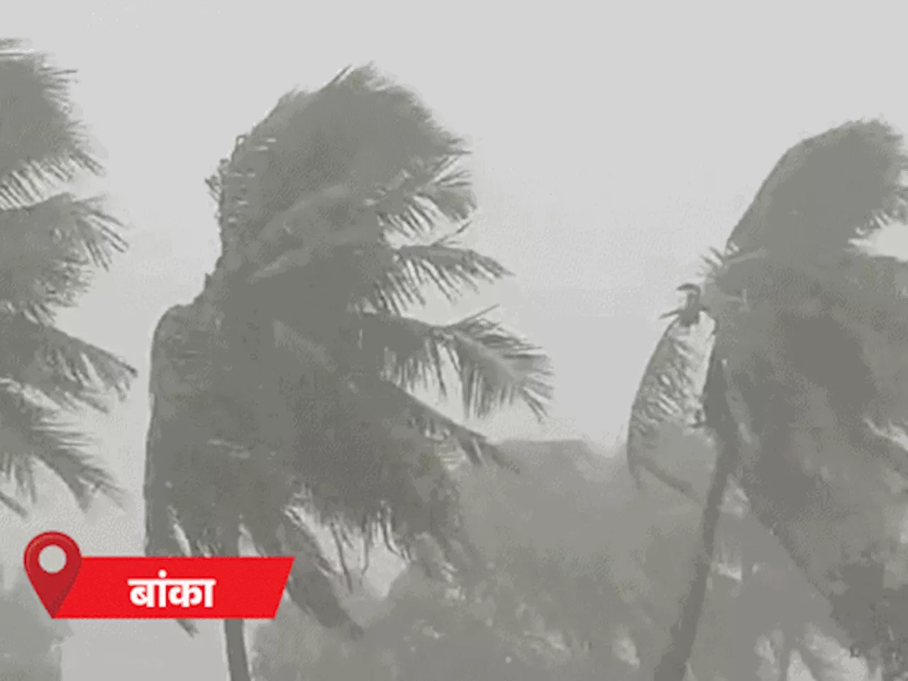 बिहार के 11 जिलों में बारिश..19 में गर्मी का अलर्ट: बंगाल की खाड़ी में बने साइक्लोन का असर; 15 जिलों का ताप...