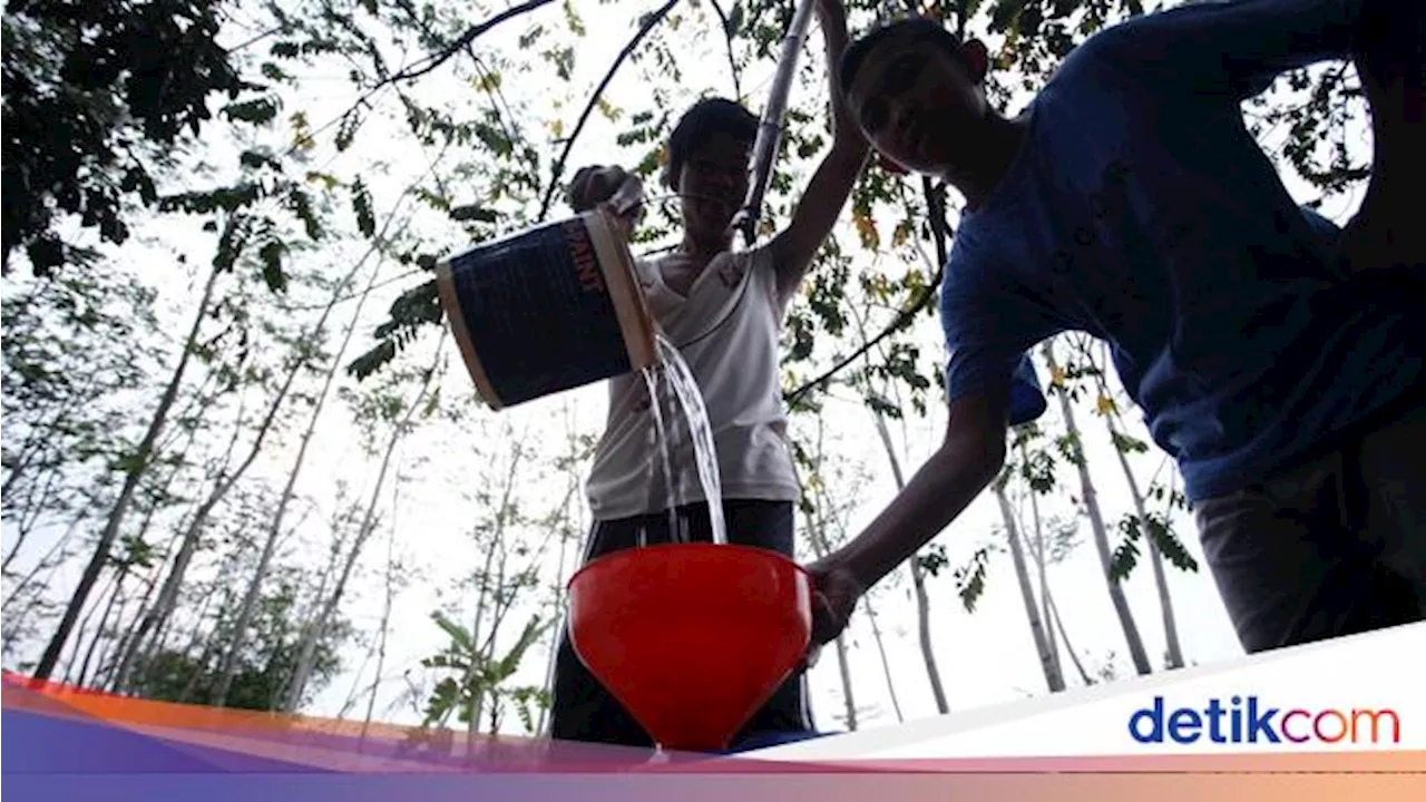 Siklus Hidrologi: Pengertian, 9 Proses Tahapan Siklus, dan Jenis-jenis