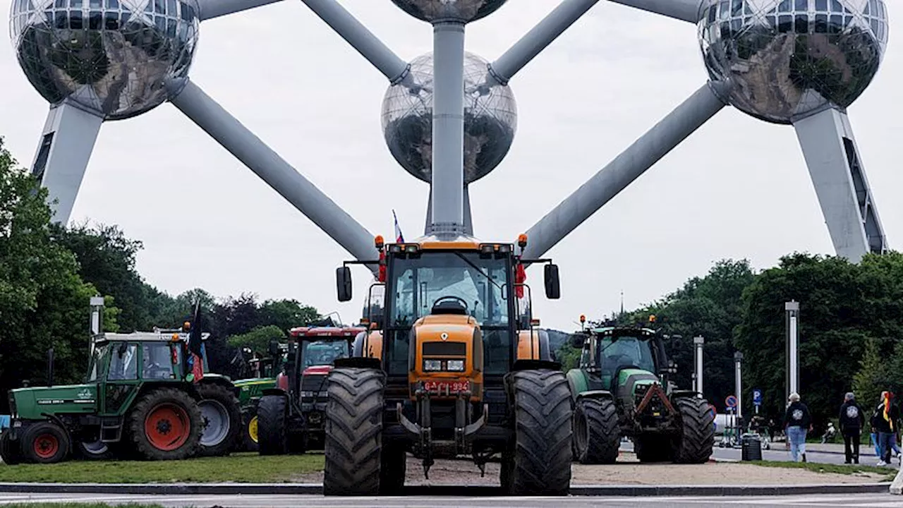 Boeren hebben fors minder vertrouwen in Farmers Defence Force, die vandaag protesteren in Brussel