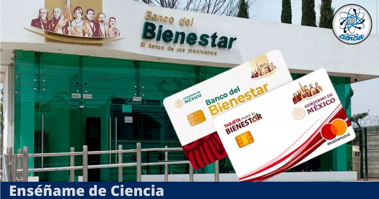 ¿Qué pasará con la Pensión del Bienestar tras la entrada del nuevo gobierno?