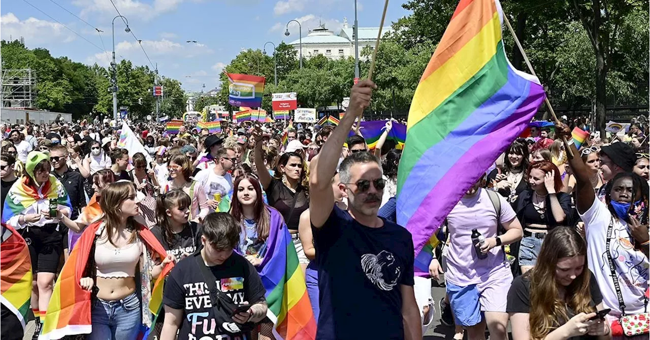 Der kommerzialisierte Pride Month: Zu viel Party, zu wenig Protest