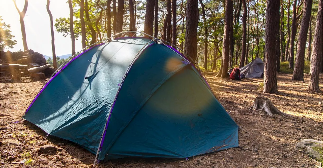 Keine Campinggebühren: Mit dieser Karte findet ihr Orte zum gratis Zelten