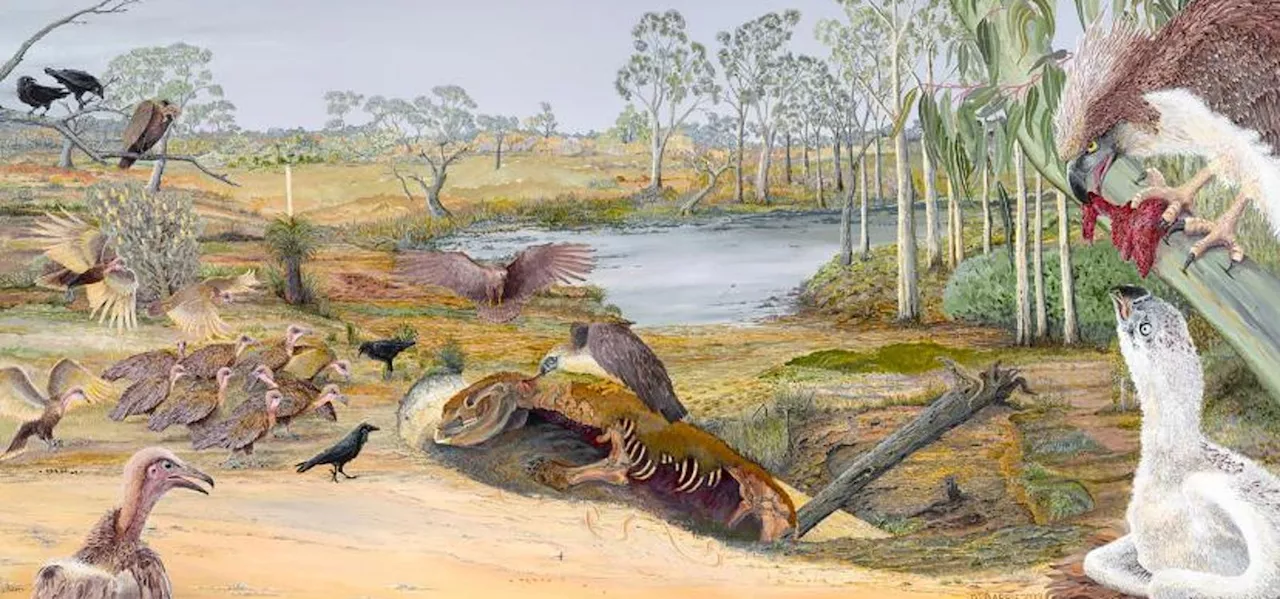 Meet A Prehistoric ‘Mega-Raptor’–Found, Fossilized, In This Cave In South Australia