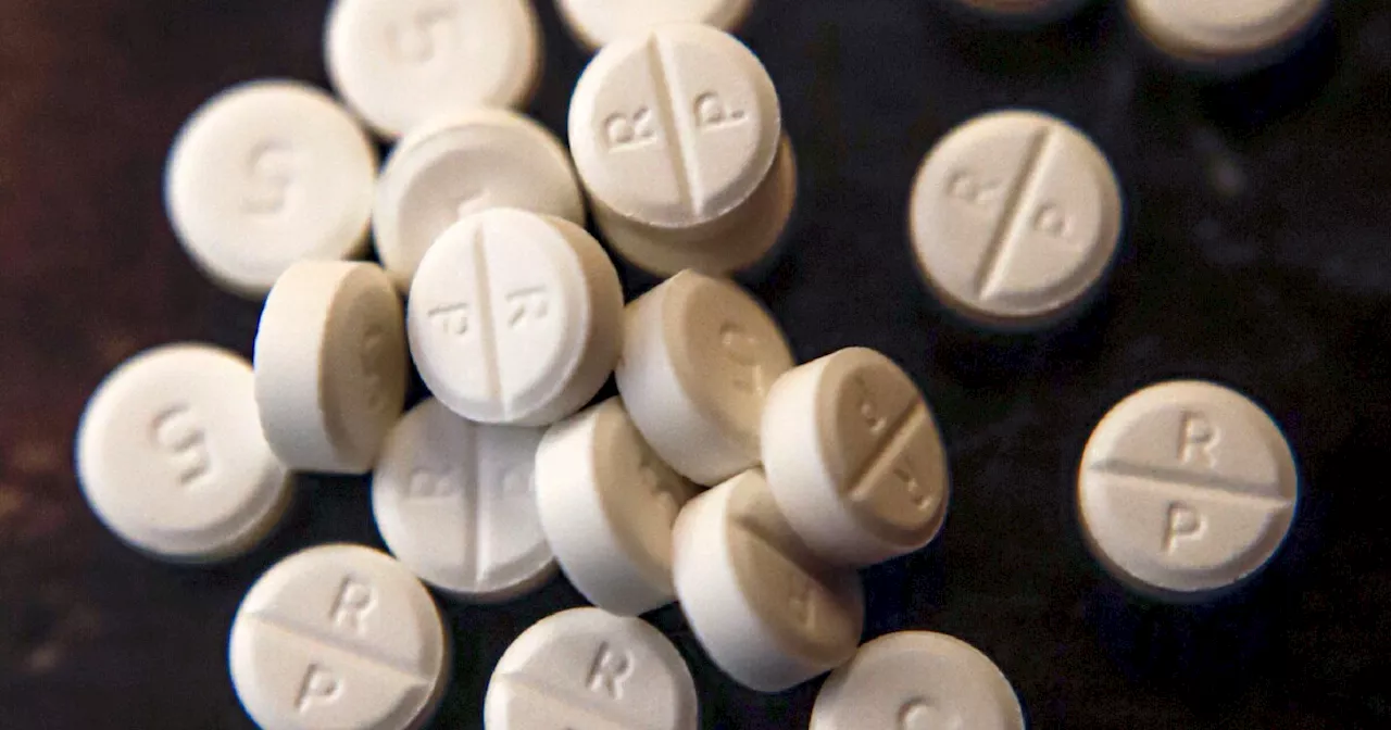 Salt Lake County to seek funding from opioid settlement for additional officers to fight drug cartels