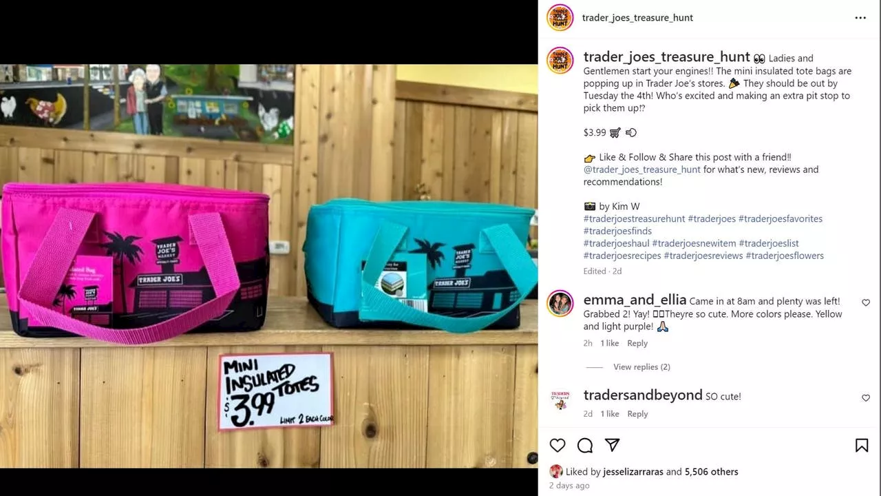 Trader Joe's drops mini insulated tote bags, sparking shopper craze