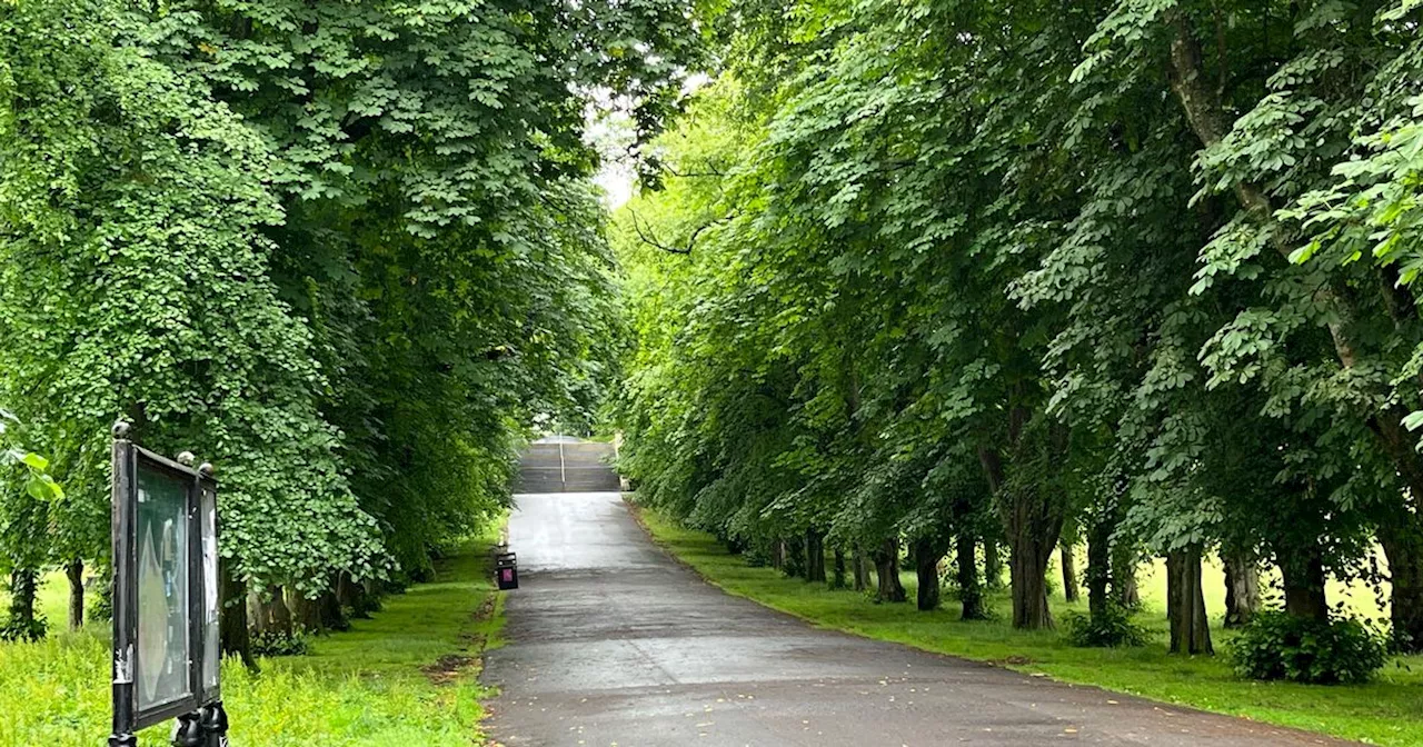 Police flood Glasgow's Queen's Park after reports of 'man wielding firearm'