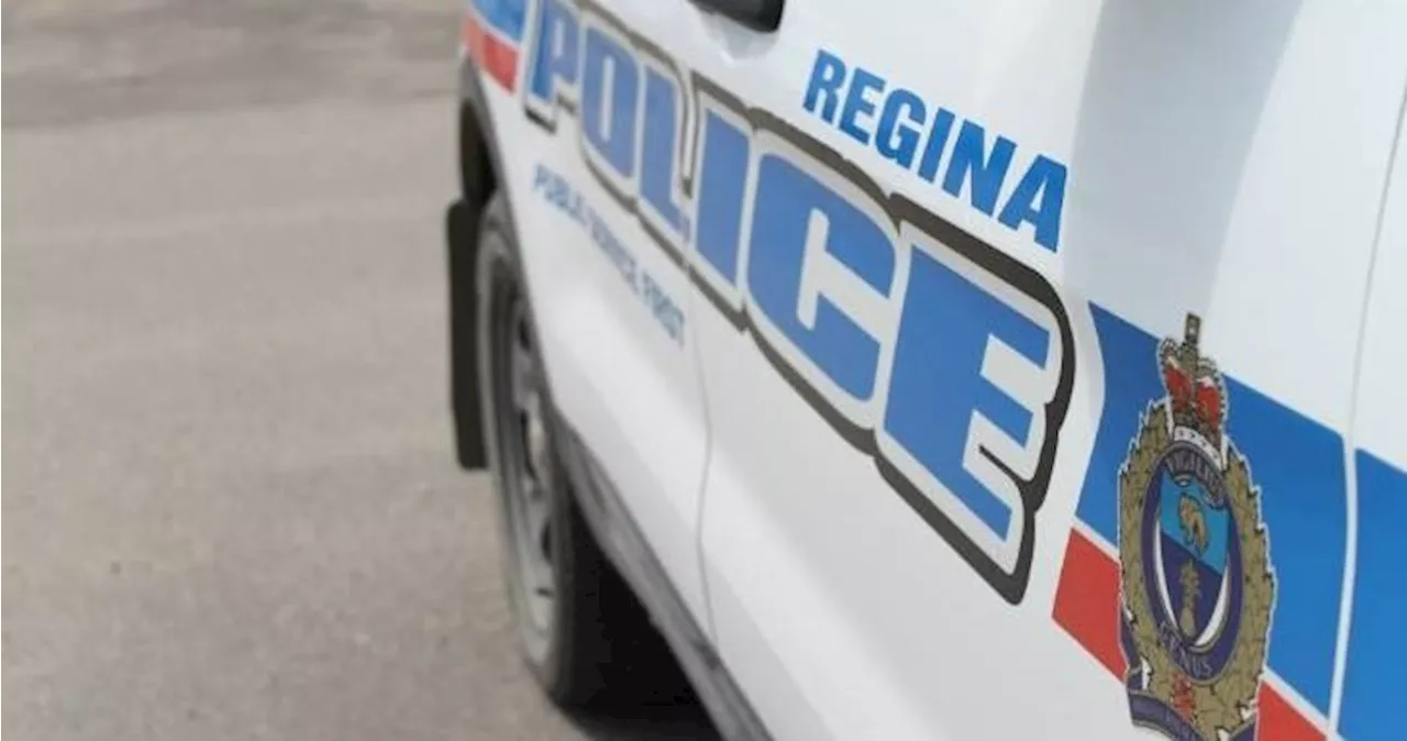 Regina to address downtown security with new alternate response officers