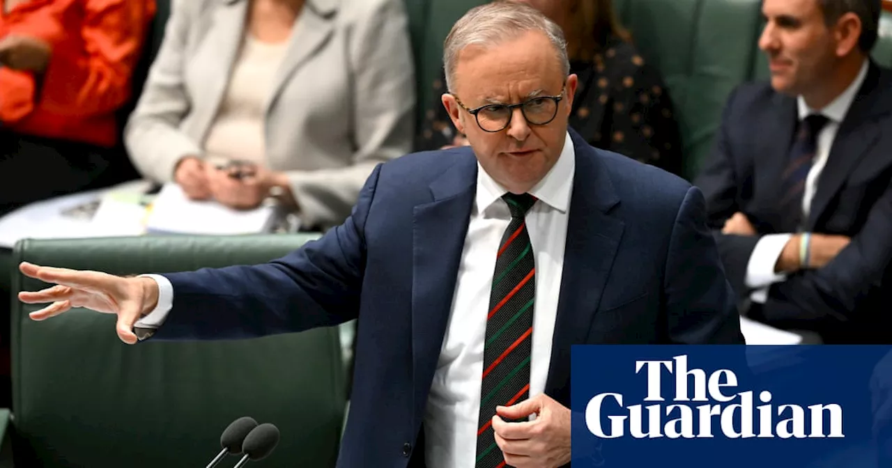 Pro-Palestine protests targeting MPs’ electorate offices ‘have no place in a democracy’, Albanese says