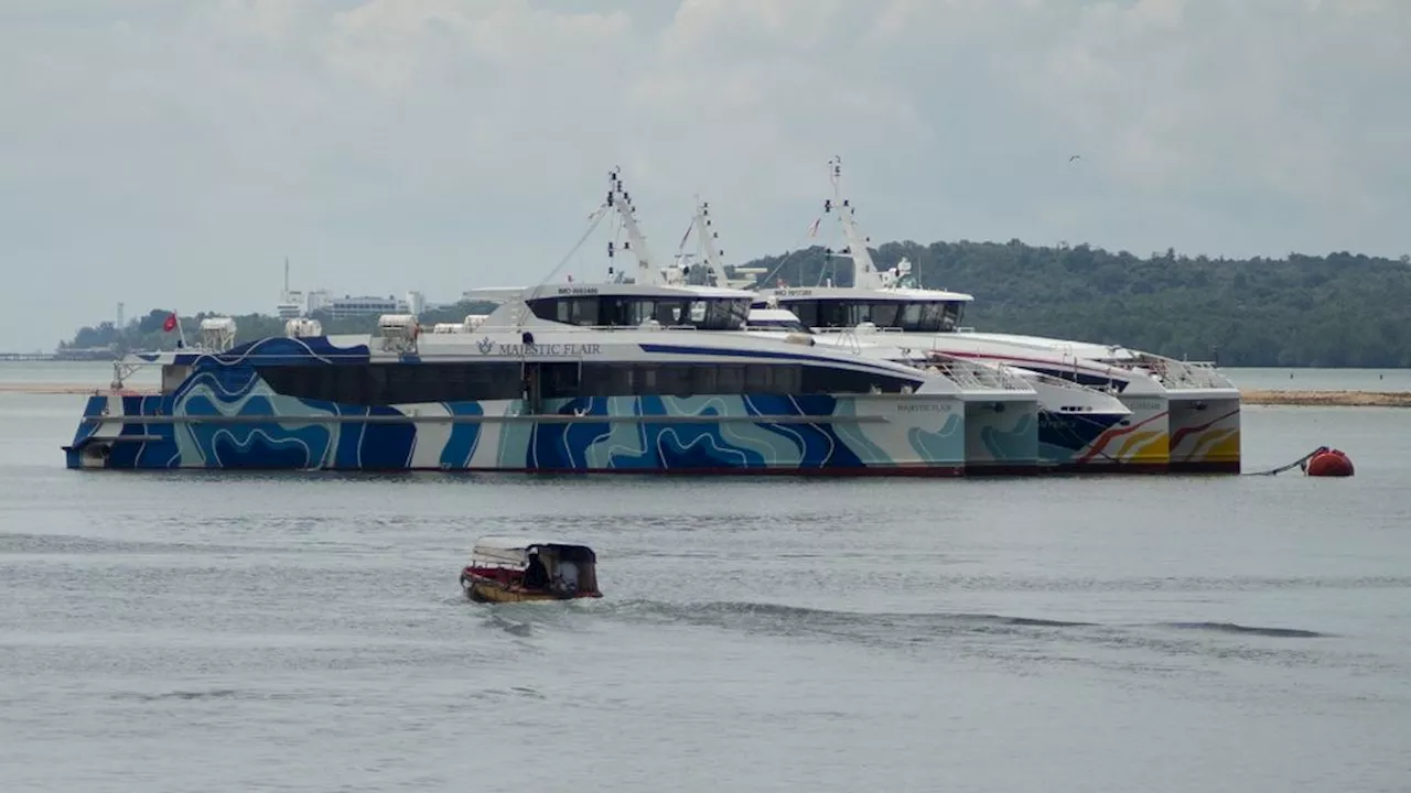 Tiket Kapal Singapura-Batam Melonjak, Turis Melayang ke Johor