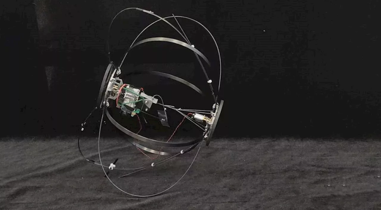 Elastisches Skelett verhilft Roboter zu Riesensprüngen
