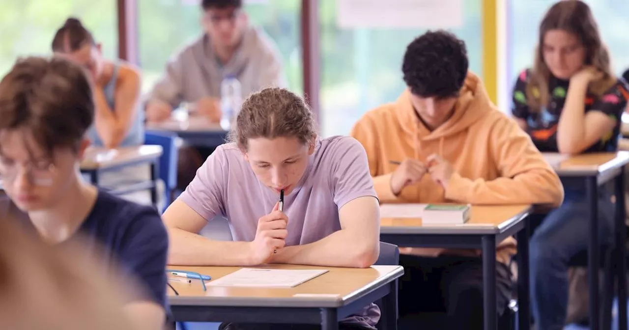 Leaving Cert 2024: Exam survival guide for students (and parents)