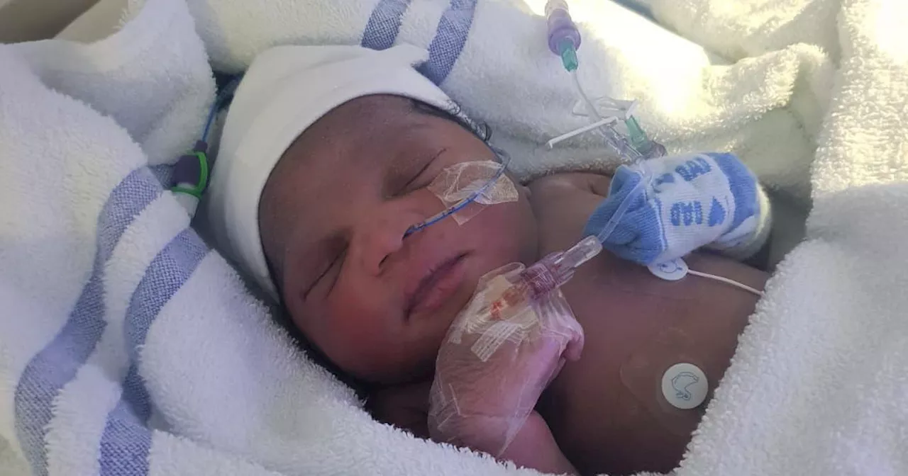 Newborn baby found in London has brother and sister also abandoned