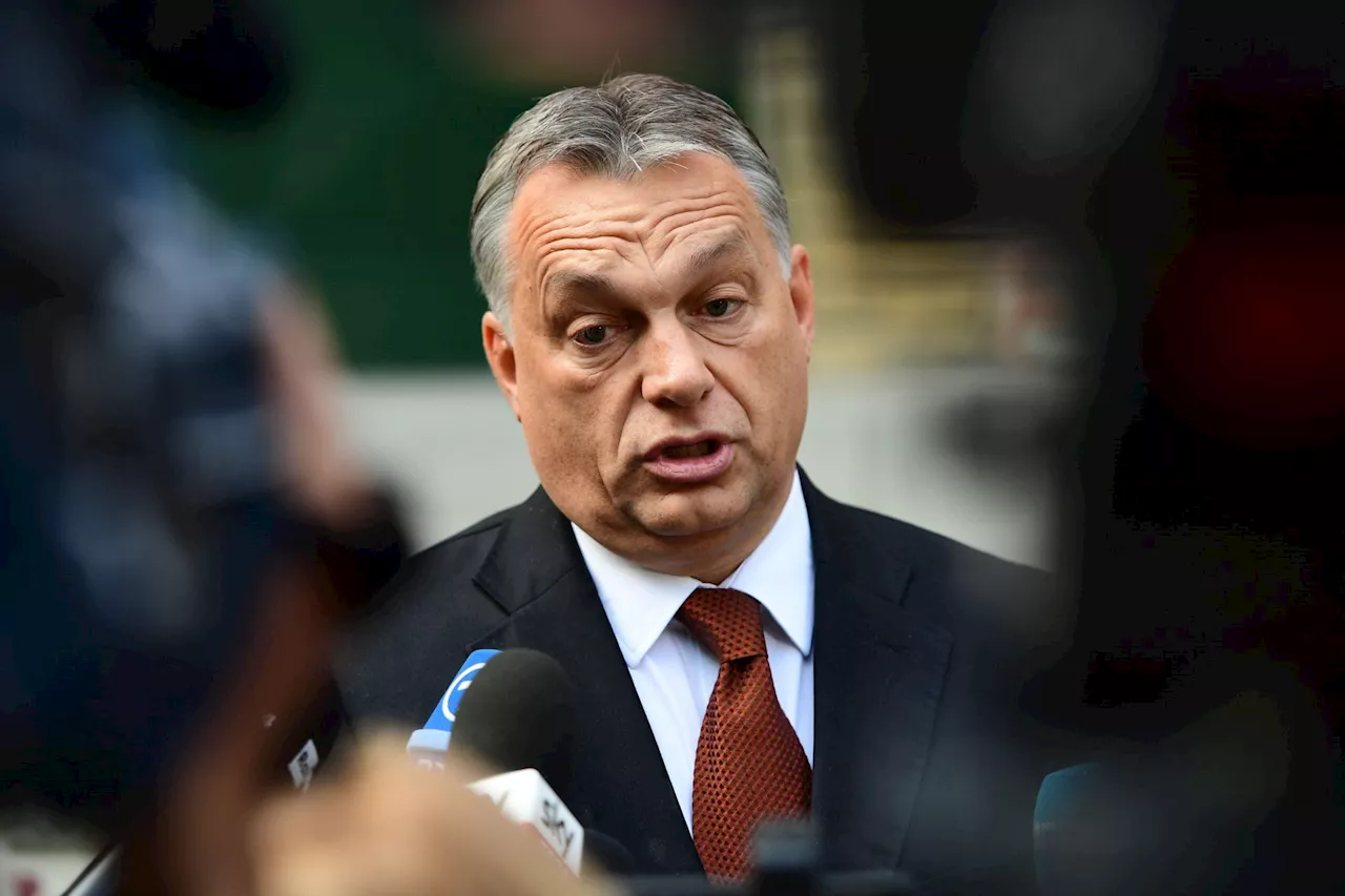 Orbán defende entendimento entre Meloni e Le Pen