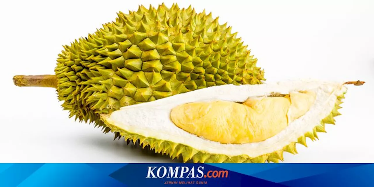 Cara Menghilangkan Bau Durian di Ruangan