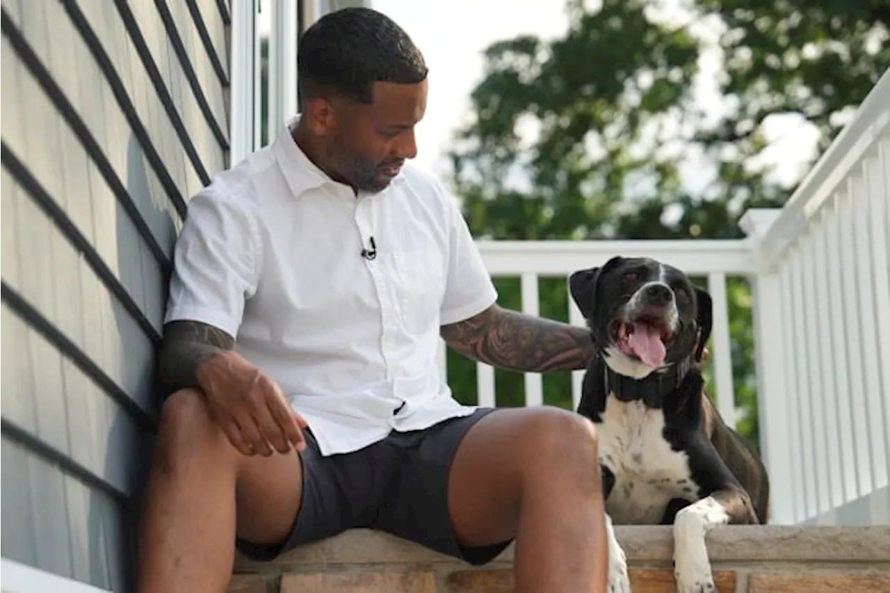 Service dogs helped ease PTSD symptoms in US military veterans, researchers say