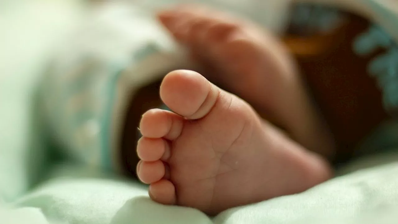 'J’ai deux actes de naissance' : une maternité frontalière au cœur du scandale des 'bébés Wante' arrachés à le