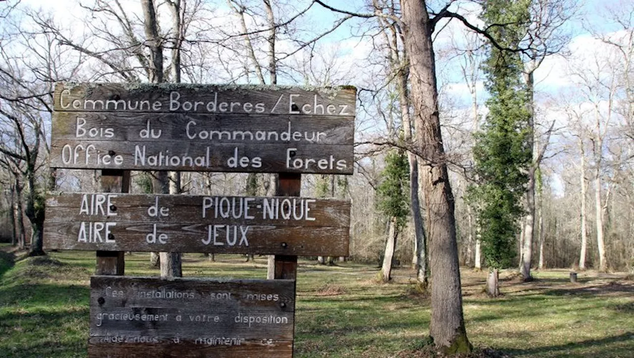 Il baisse son short dans les bois et se masturbe devant une promeneuse