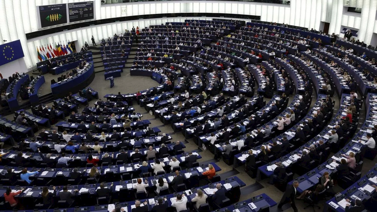 Européennes 2024 : qui siège avec qui au Parlement de Strasbourg ?